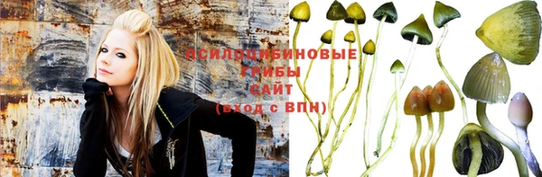 винт Алексин