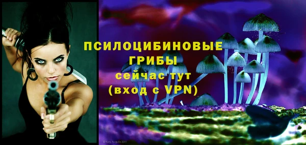 винт Алексин