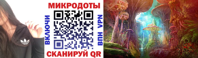 дарнет шоп  кракен маркетплейс  Галлюциногенные грибы GOLDEN TEACHER  Топки 